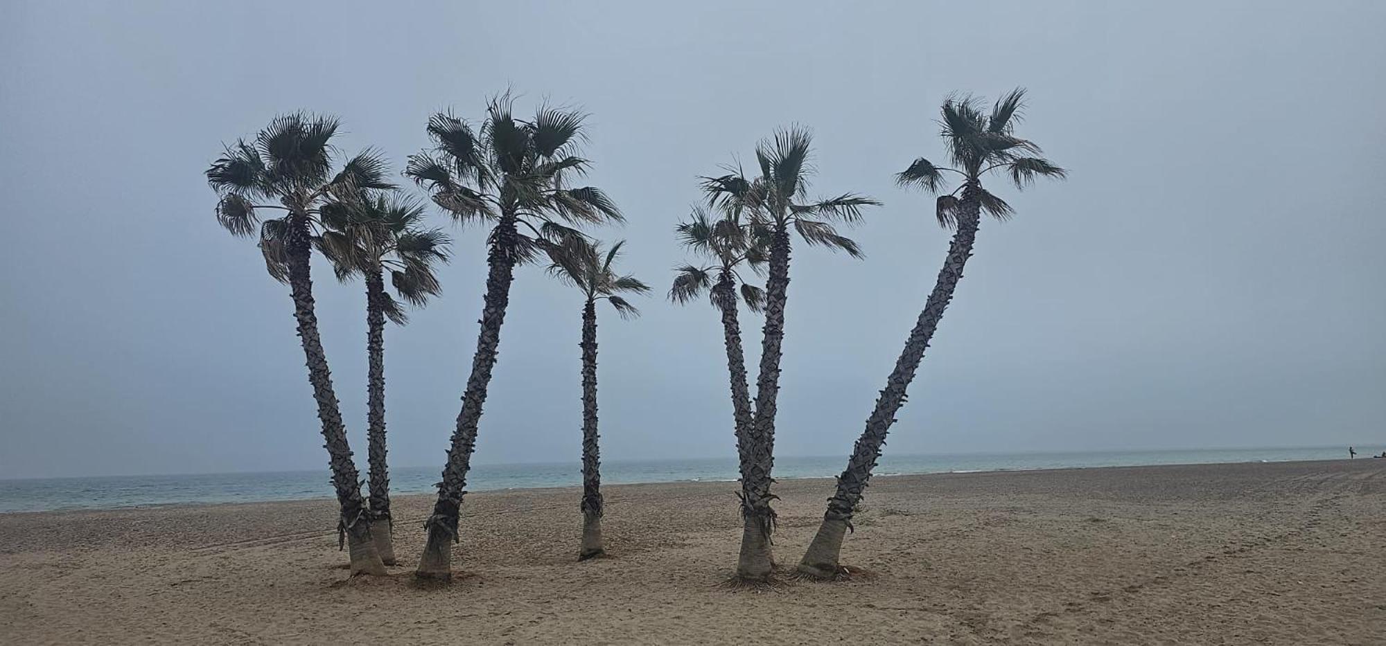Apartamento Con Piscina Y Cerca De La Playa Canet d'En Berenguer Buitenkant foto